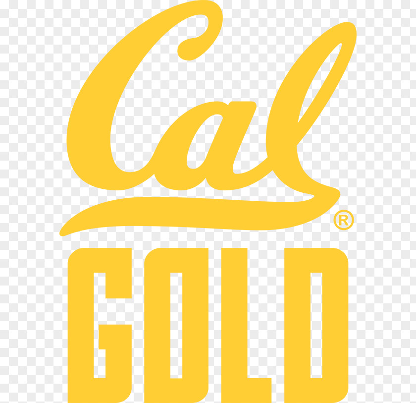 American Football University Of California, Berkeley California Golden Bears Women's Basketball Sport PNG