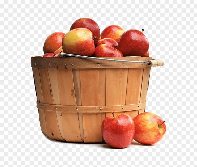 Apple Fruit Macintosh Jez Jablka, Naštveš Putina! Clip Art PNG