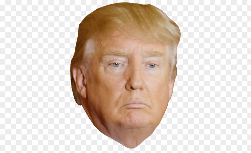 Donald Trump 2017 Presidential Inauguration President Of The United States Hillaroids PNG