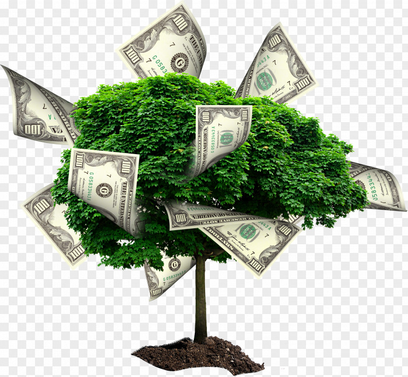 Moneytree Money Stock Photography Finance Investment Saving PNG