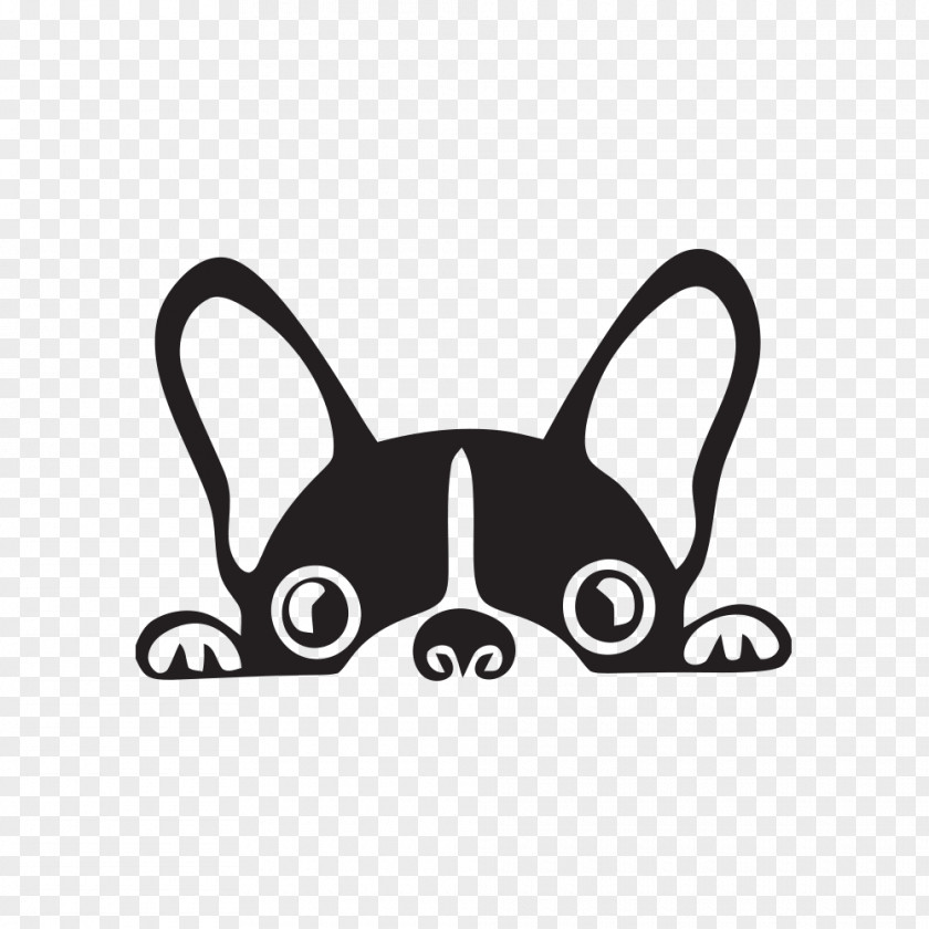 Nonsporting Group Snout French Bulldog PNG