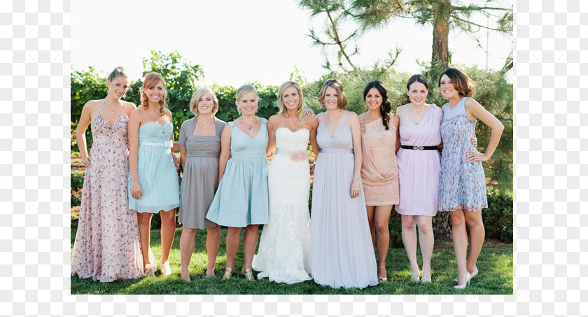 พาสเทล Pastel Bridesmaid Wedding Dress Reception PNG