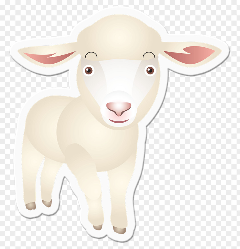 Sheep Goat Cattle Snout Animal PNG