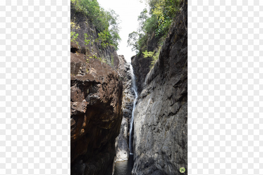 Tree Waterfall Nature Reserve Outcrop Geology Escarpment PNG