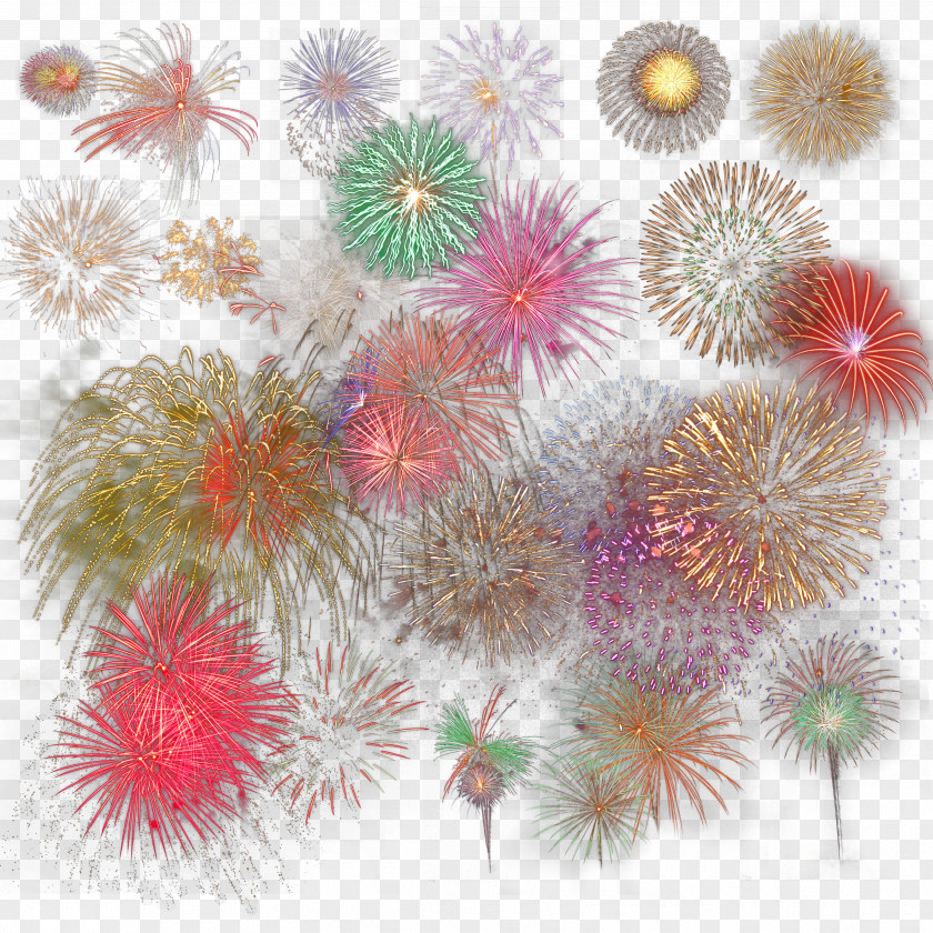 All Kinds Of Fireworks New Year PNG