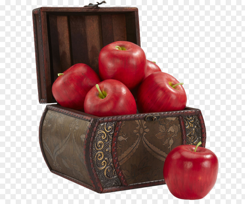 Apple Box Mounted DeviantArt Stock Photography PNG