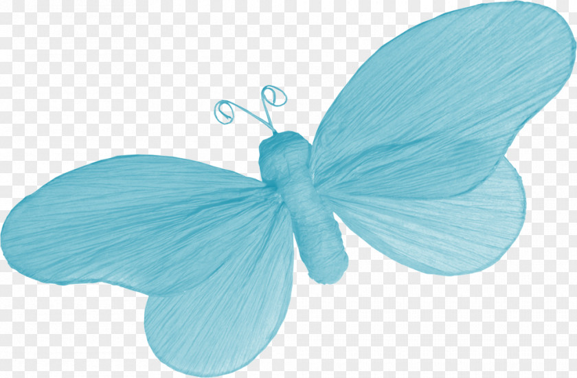 Beautiful Blue Butterfly Drawing Watercolor Painting Clip Art PNG