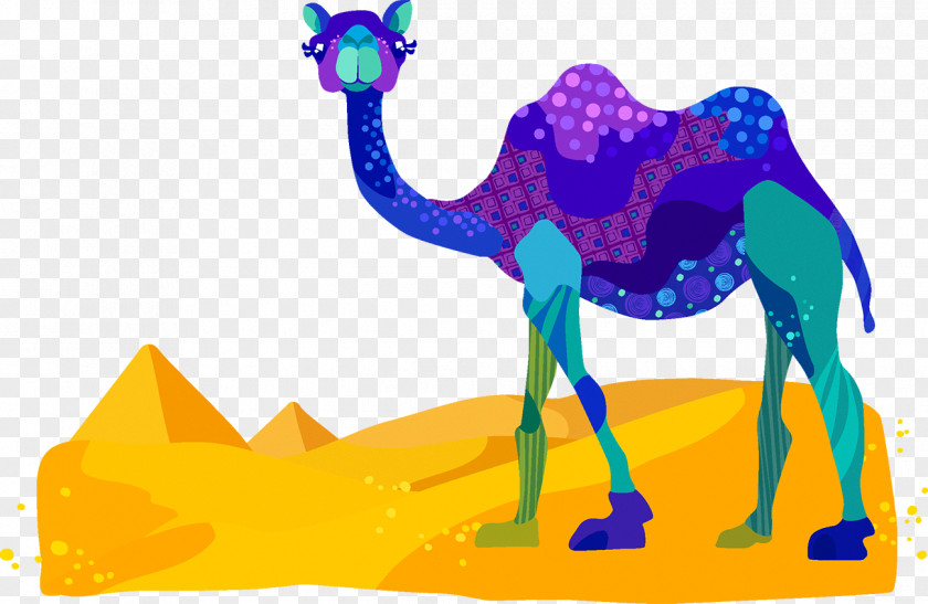 Desert Camel PNG