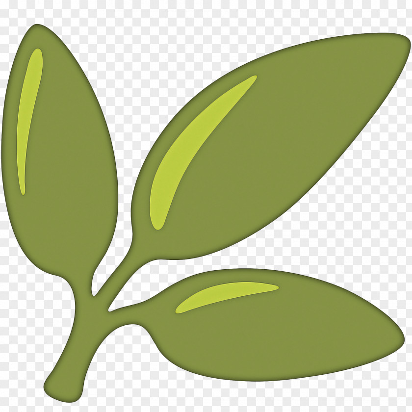 Eucalyptus Logo Green Leaf PNG