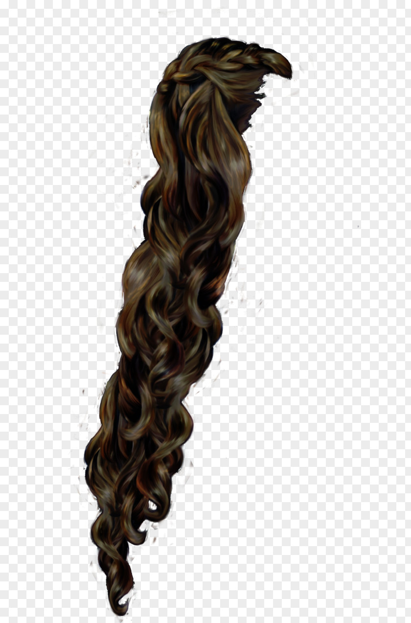 Hair Long Coloring Brown PNG