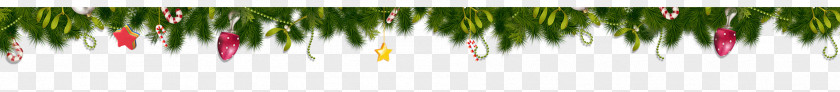 Holiday Green Garland Lace Interior Design Services Pattern PNG