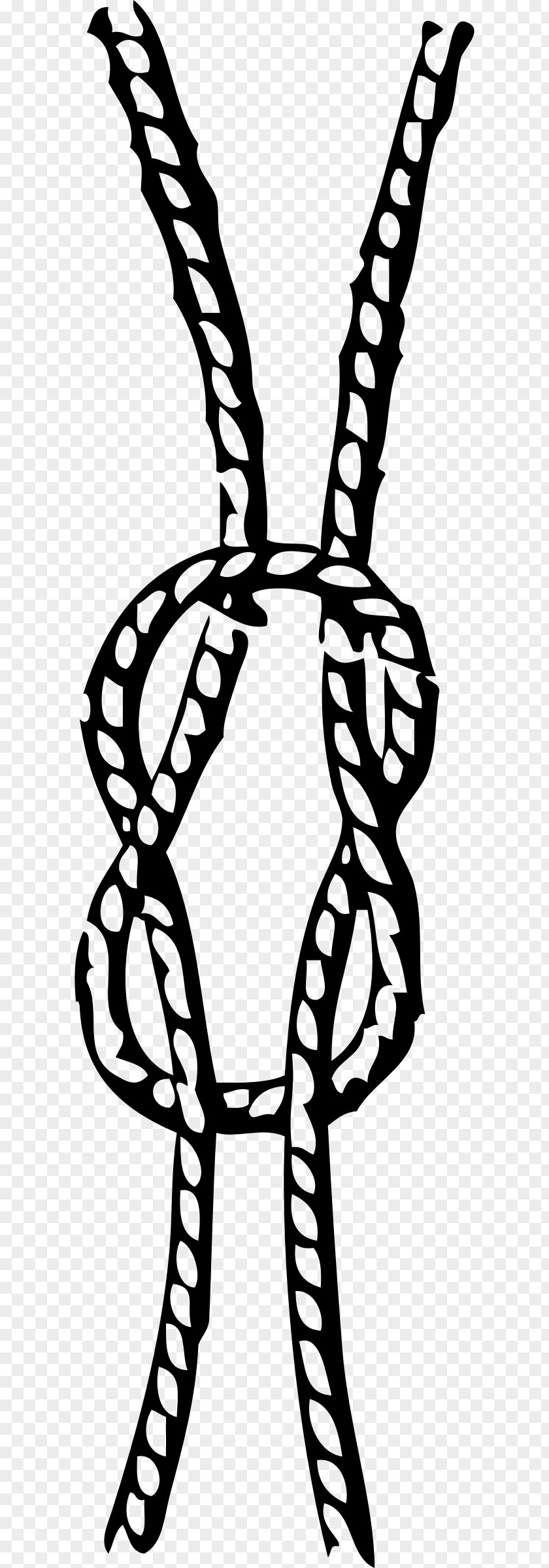 Rope Knot Reef Maritime Transport Clip Art PNG