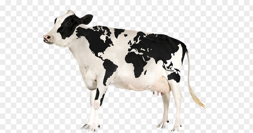 Vaca World Map Globe PNG