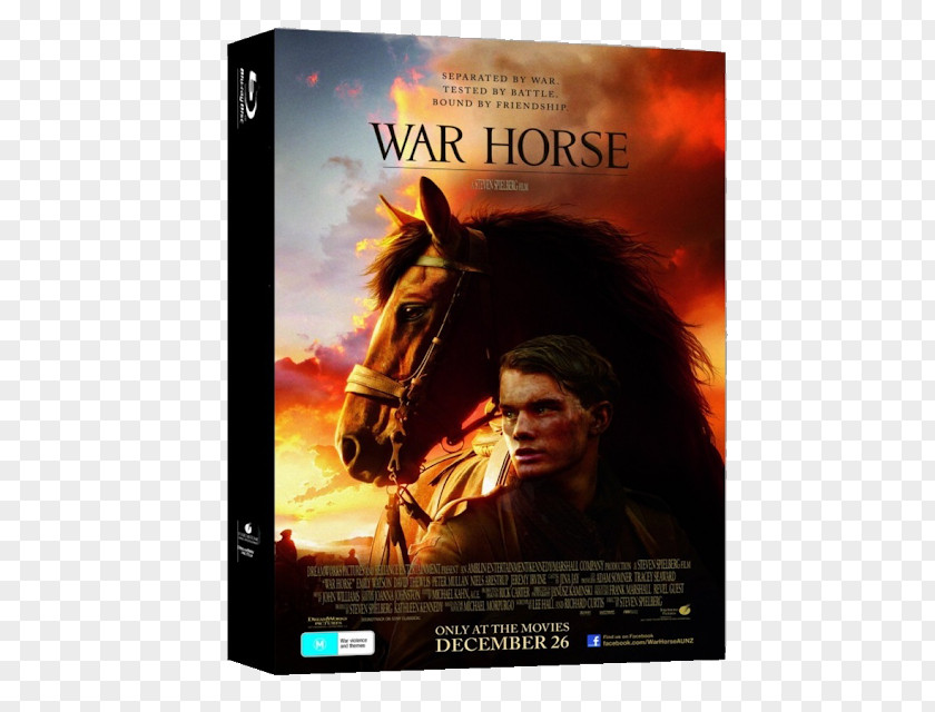 War Horse Jeremy Irvine Film PNG