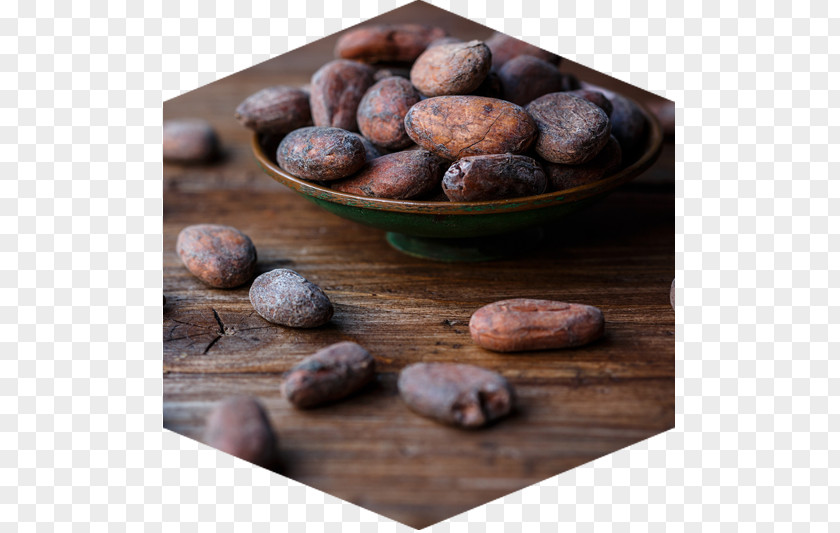 Chocolat Cocoa Bean Chocolate Bar Theobroma Cacao Solids PNG