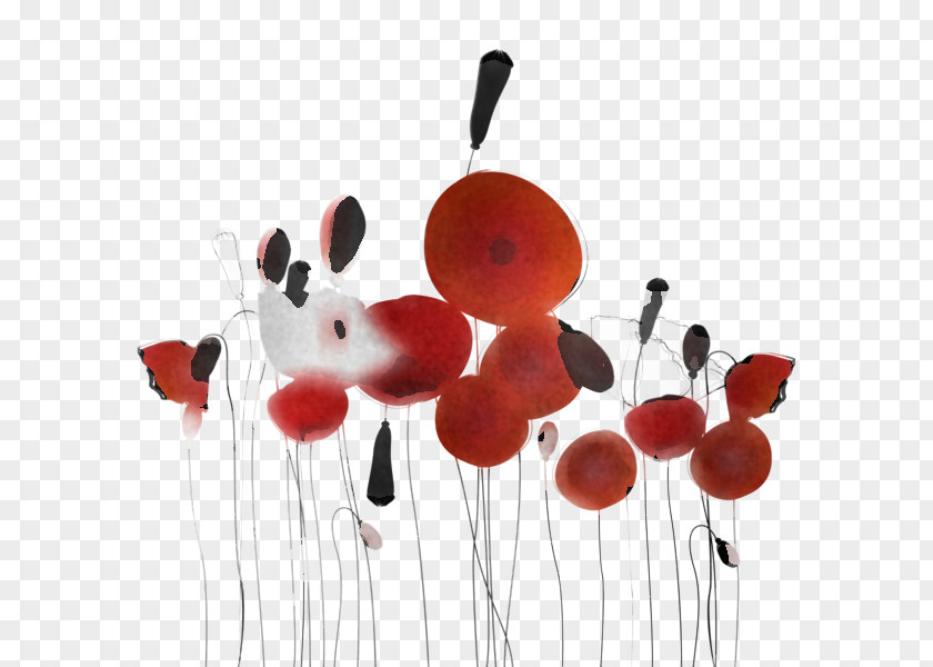 Coquelicot Plant Flower Balloon Poppy Family PNG