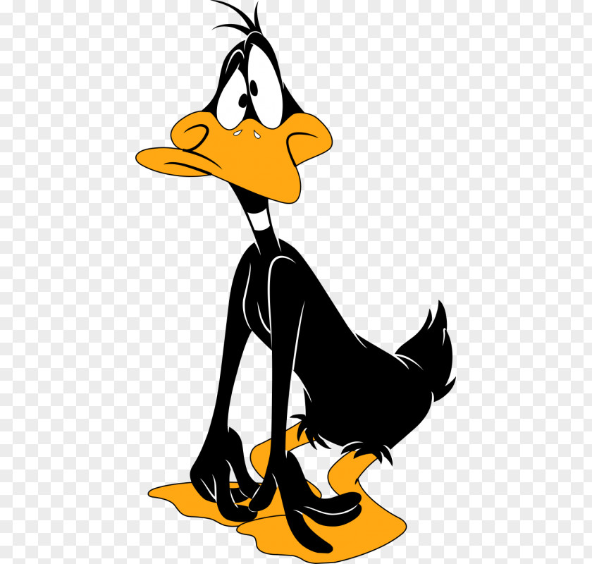 Daffy Duck Cartoon Bugs Bunny Desktop Wallpaper PNG