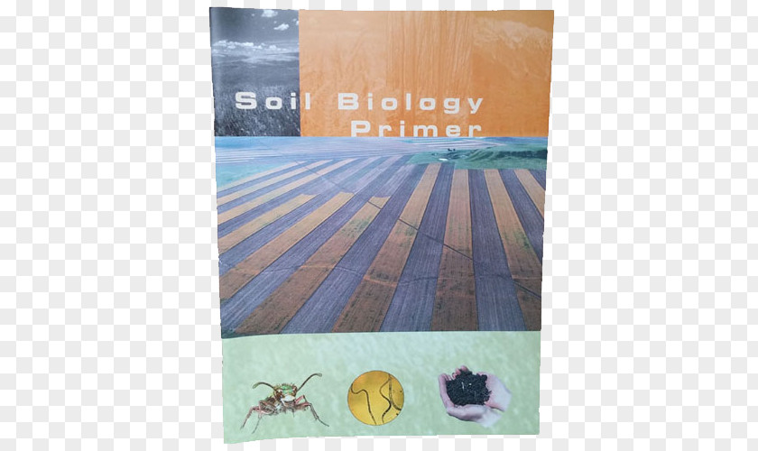 Earth Soil Biology Microbiology Health PNG