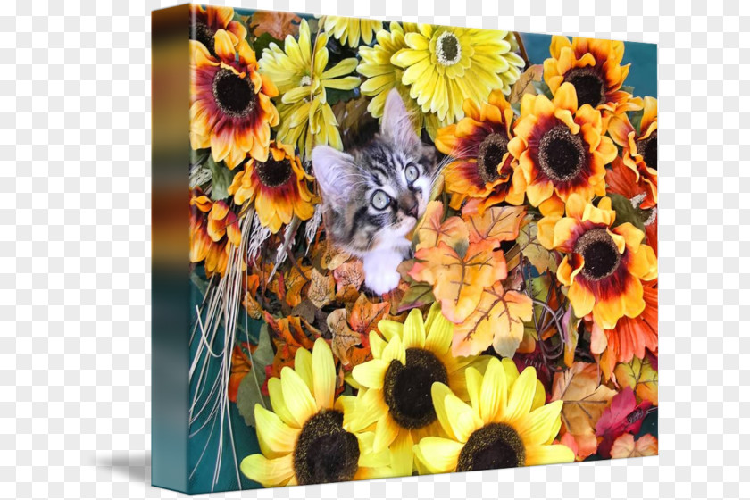 Kitten Autumn Leaf Color Cut Flowers Floral Design PNG