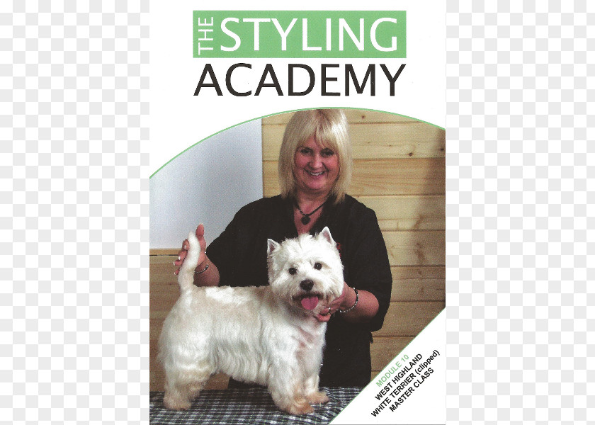 West Highland Terrier White Cairn Glen Norfolk Hair Clipper PNG