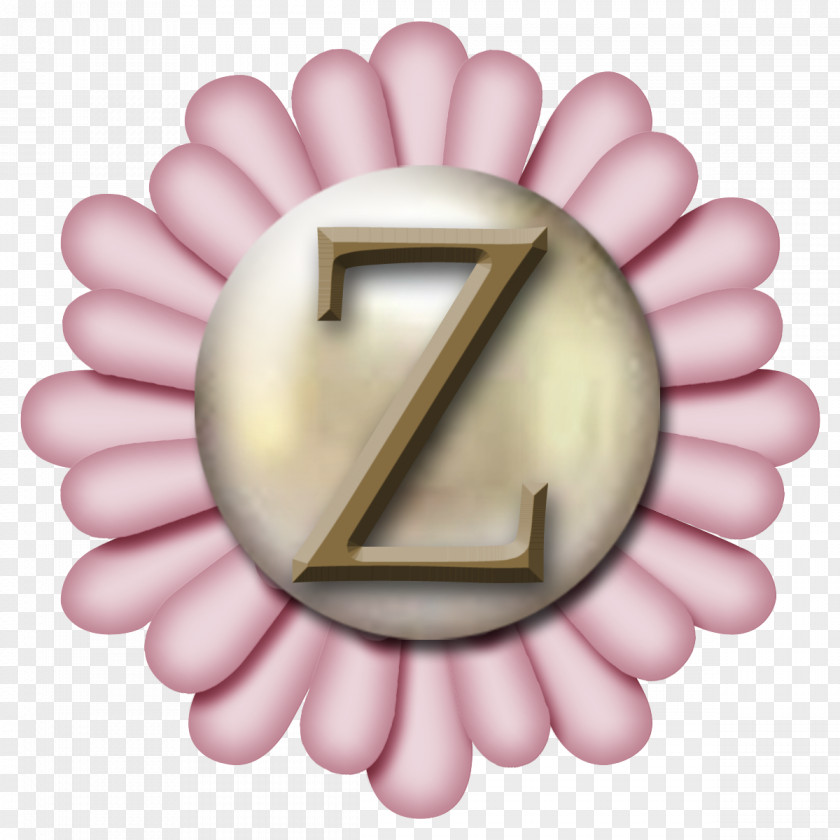 Z Letter Case Alphabet M PNG