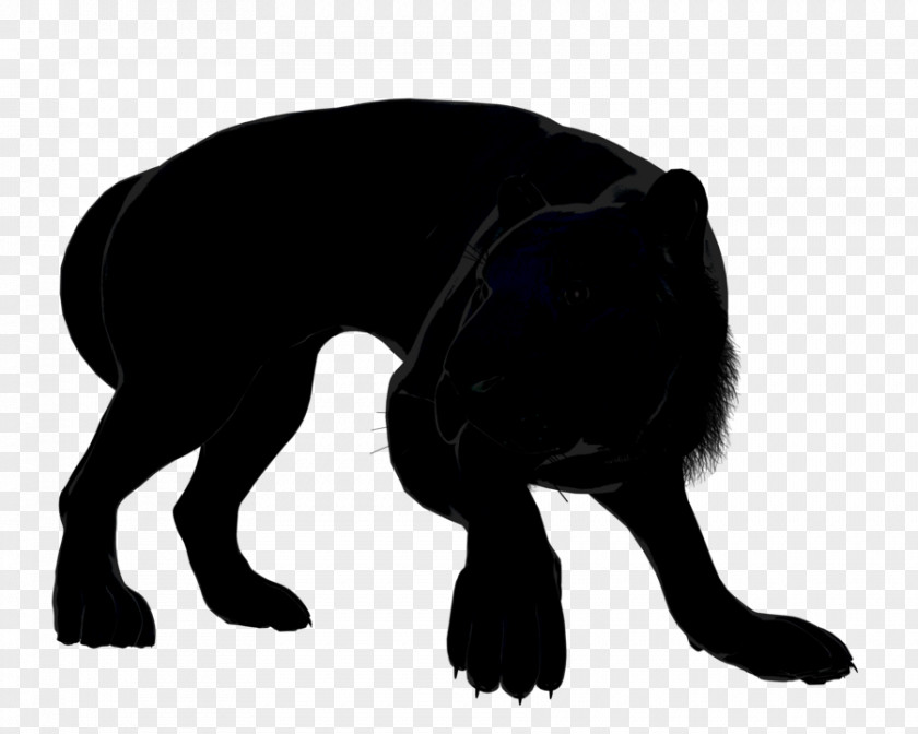 Angry Black Cat Dog Breed Puppy PNG