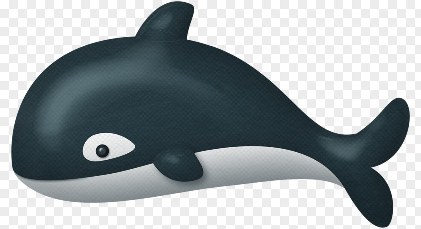 Black Cartoon Dolphin Animation Drawing And White PNG