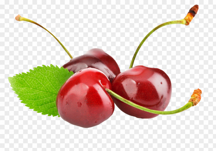 Cherry Cerasus Frutti Di Bosco PNG