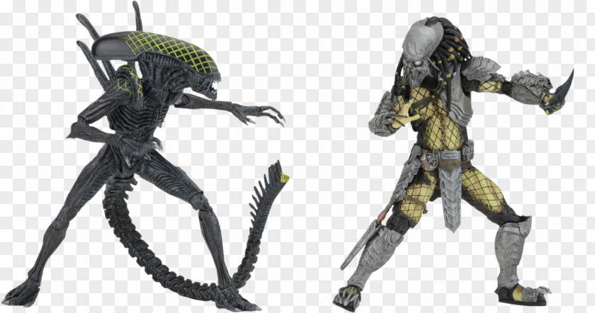 Predators Vs Alien Vs. Predator Action & Toy Figures National Entertainment Collectibles Association PNG