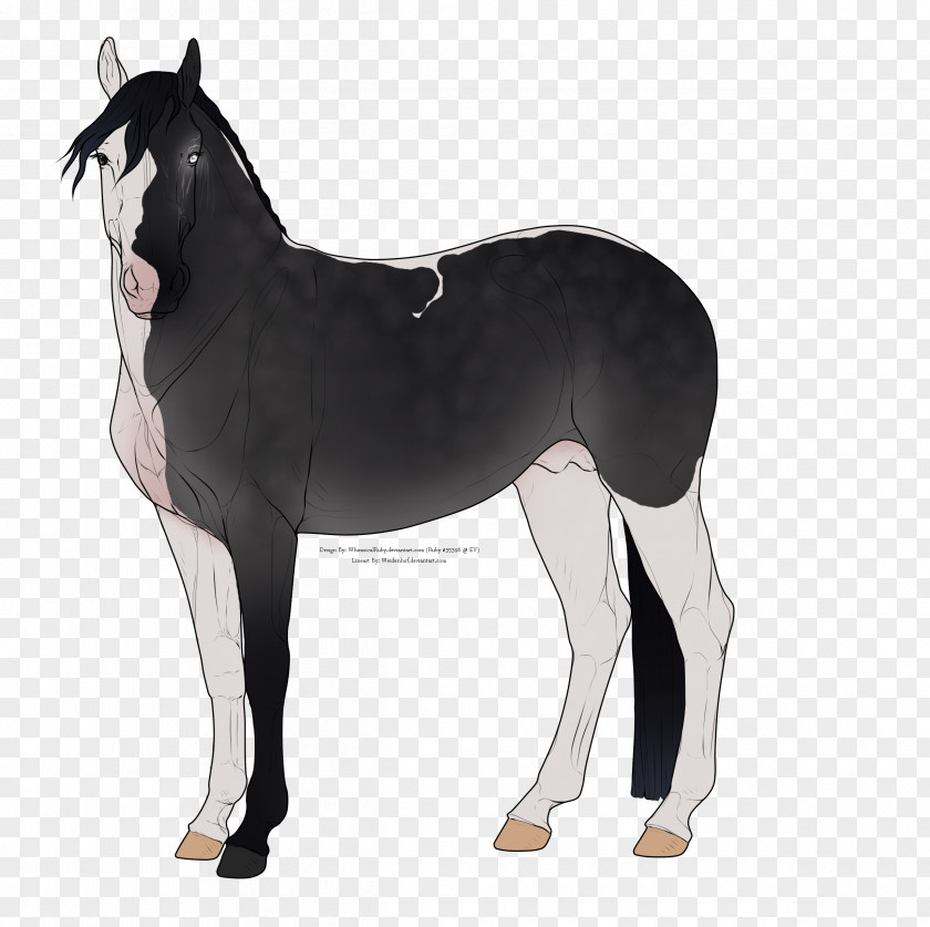 Chimera Horse Foal Stallion Mare Pony PNG