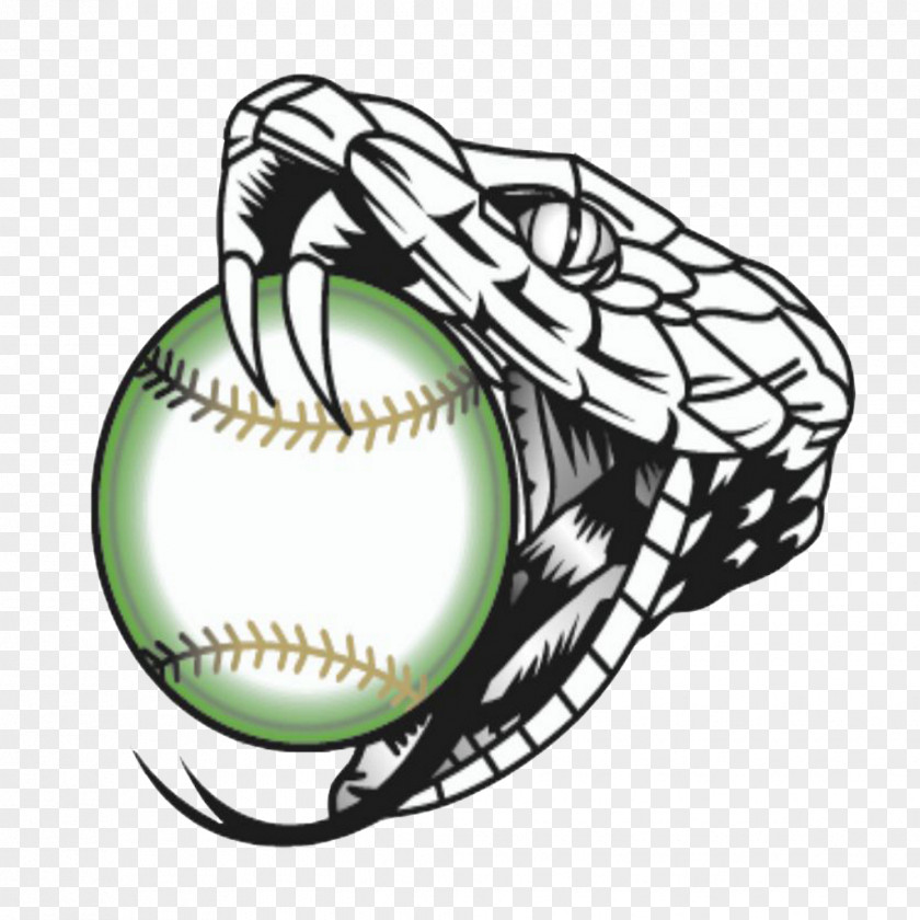 Fastpitch Softball Charts Vipers Clip Art Snakes Rattlesnake PNG