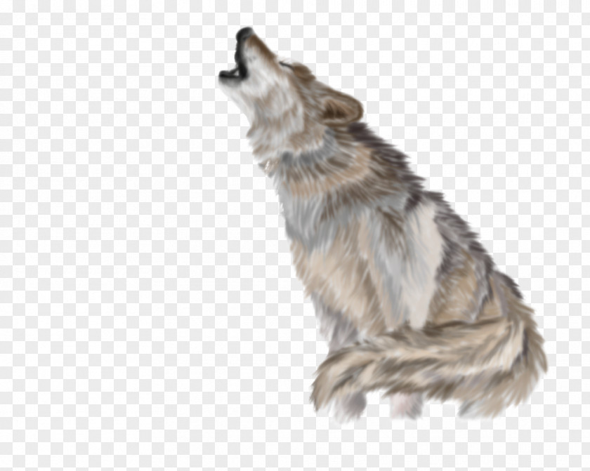 Gray Wolf Coyote Clip Art PNG