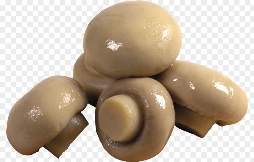 Mushroom Common Edible Food PNG