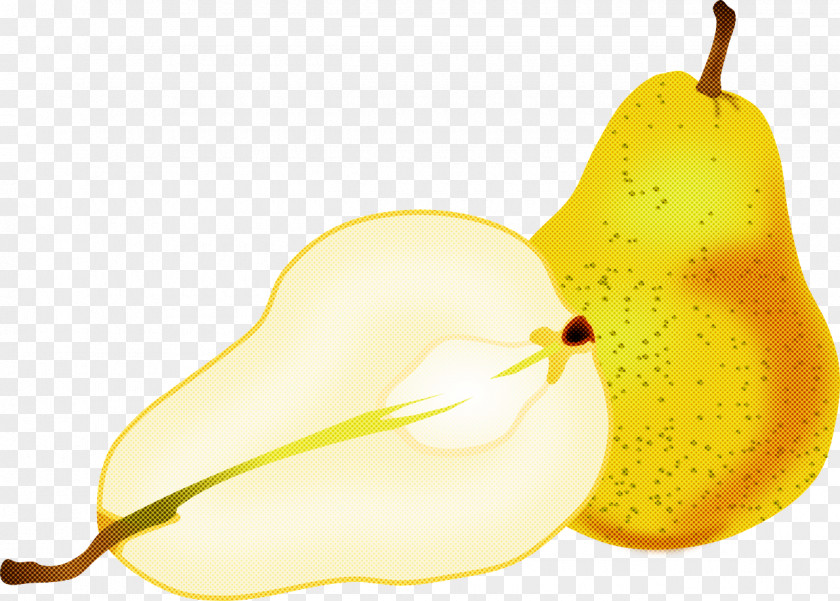 Pear Yellow Plant Tree PNG
