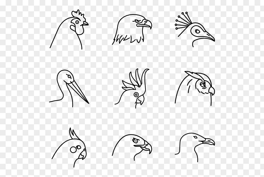 Vector Birds Beak Clip Art PNG