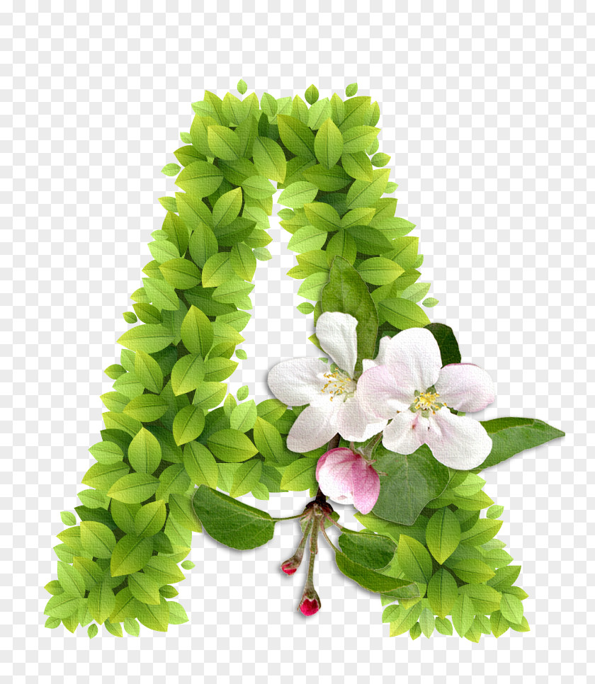 Alphabet Flower Elements Letter Ch PNG