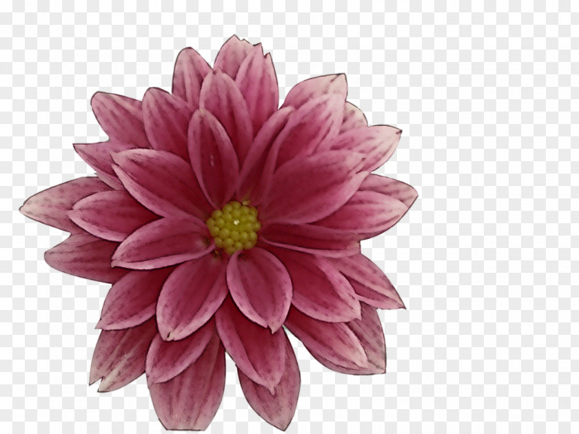 Artificial Flower PNG