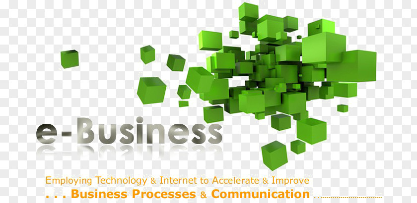 Business Electronic E-commerce Management Organization PNG