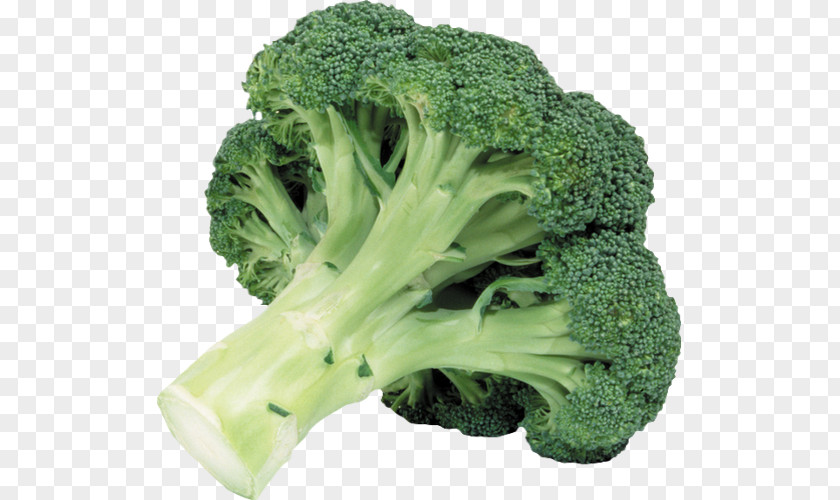 Cabbage Broccoli Leaf Vegetable Food PNG