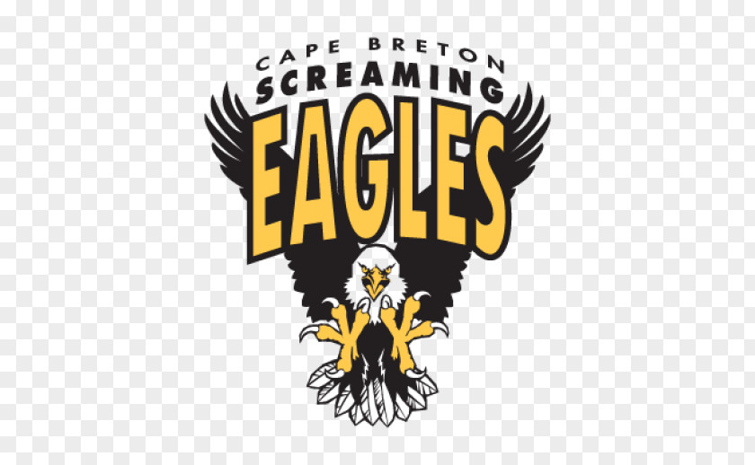 Cape Breton Logo Bald Eagle Bird Vertebrate PNG