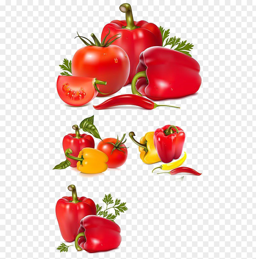 Creative Tomatoes Bell Pepper Tomato Vegetable Chili PNG