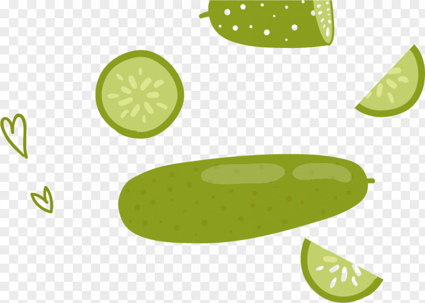 Cucumber Vector Material Computer Graphics PNG