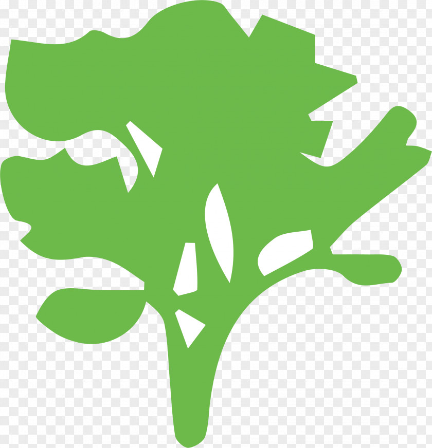 Green Tree Clip Art PNG