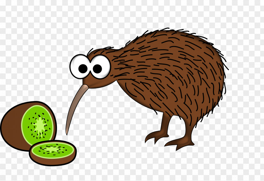 Kiwi Bird New Zealand Cartoon Clip Art PNG