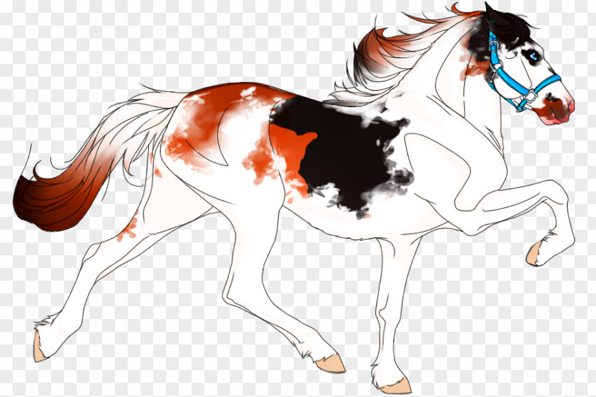 Mustang Pony Mane Sabino Horse Dun Locus PNG