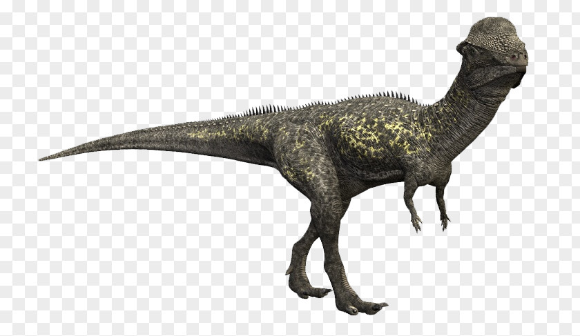 0 Yuan Spike Stegoceras Pachycephalosaurus Late Cretaceous Plateosaurus Dinosaur PNG