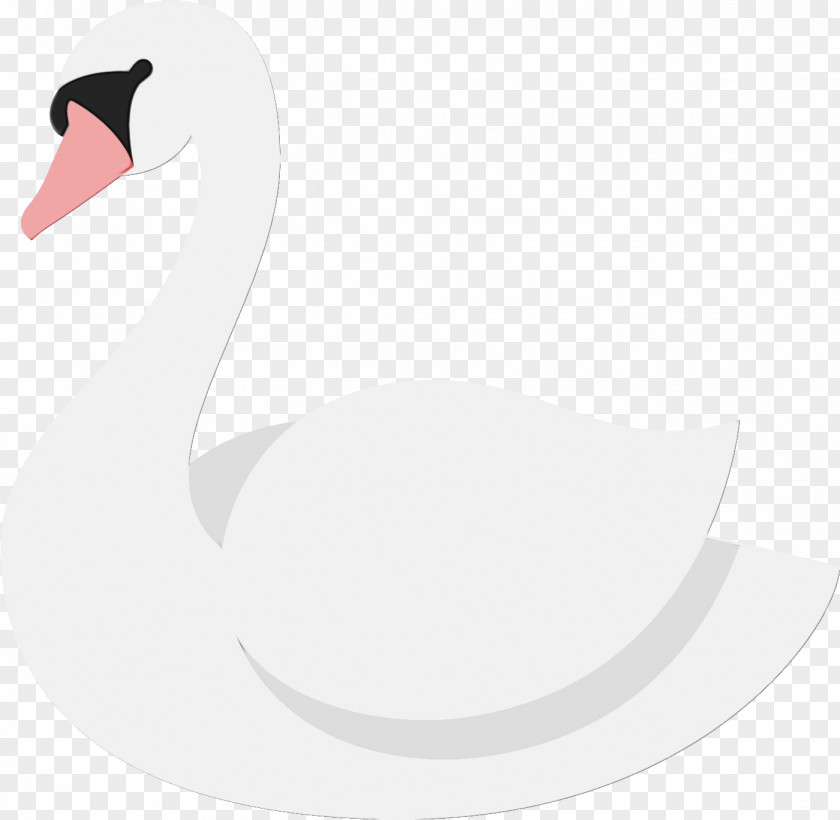 Black Swan Duck Bird Ducks, Geese And Swans Water Waterfowl PNG