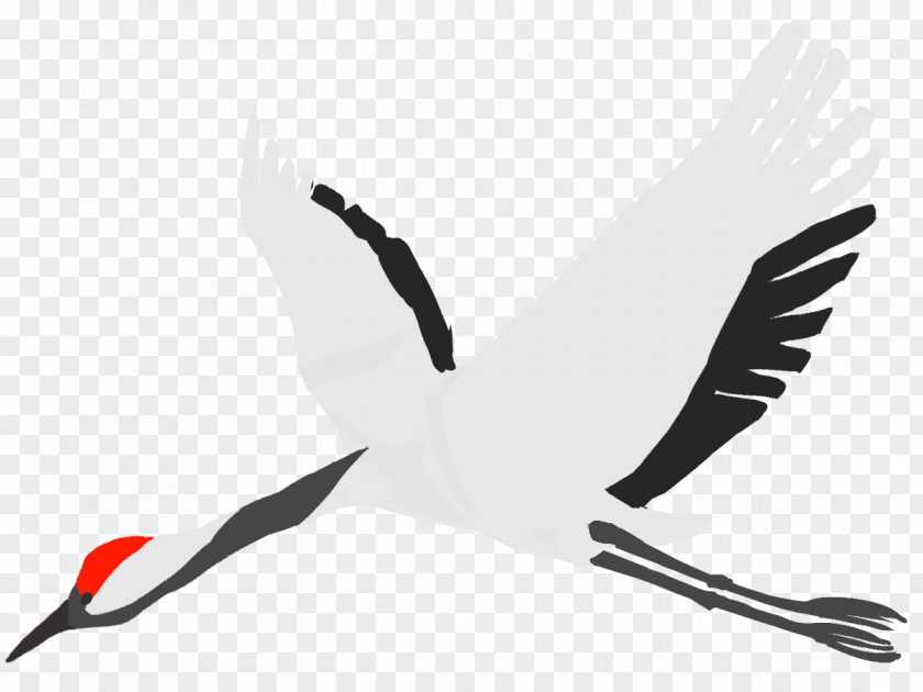 Crane Water Bird PNG