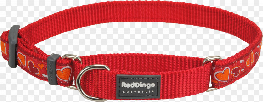 Dog Collars Collar Clothing Accessories PNG