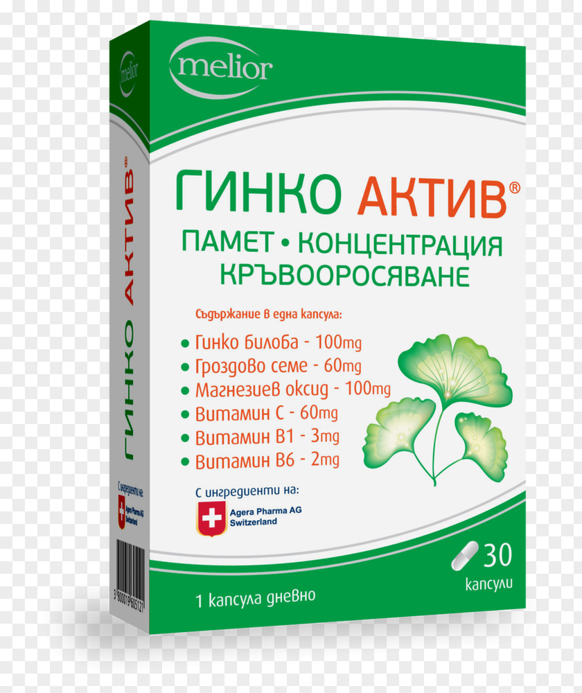 Health Dietary Supplement Ginkgo Biloba Food Pharmaceutical Drug PNG